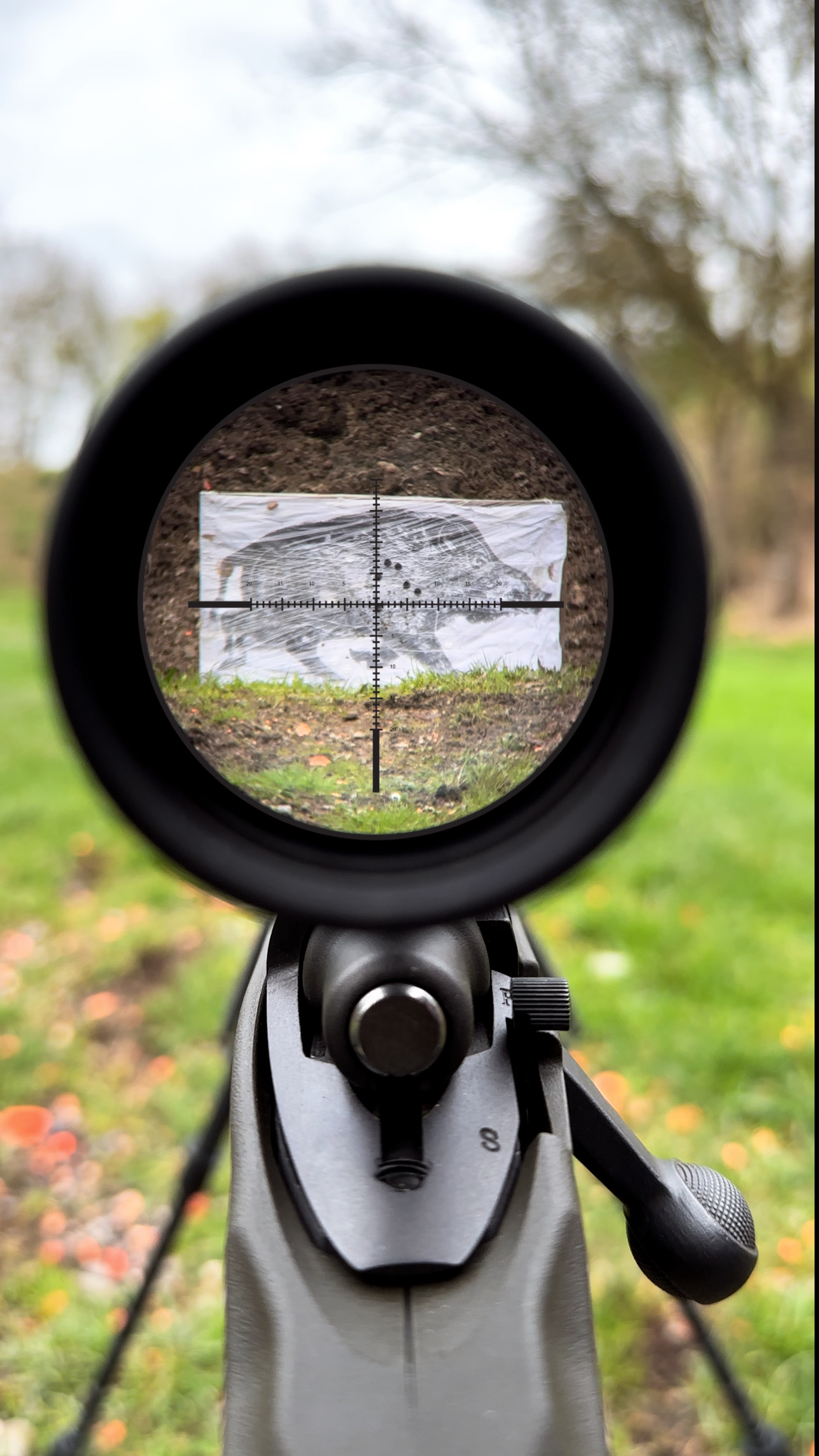 img_sangliercourant img_sangliercourant